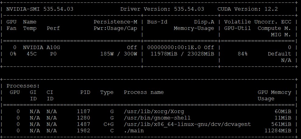 Inference on the GPU