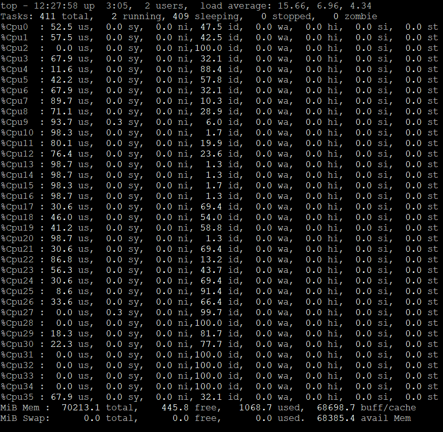 inference on the CPU - load by TOP